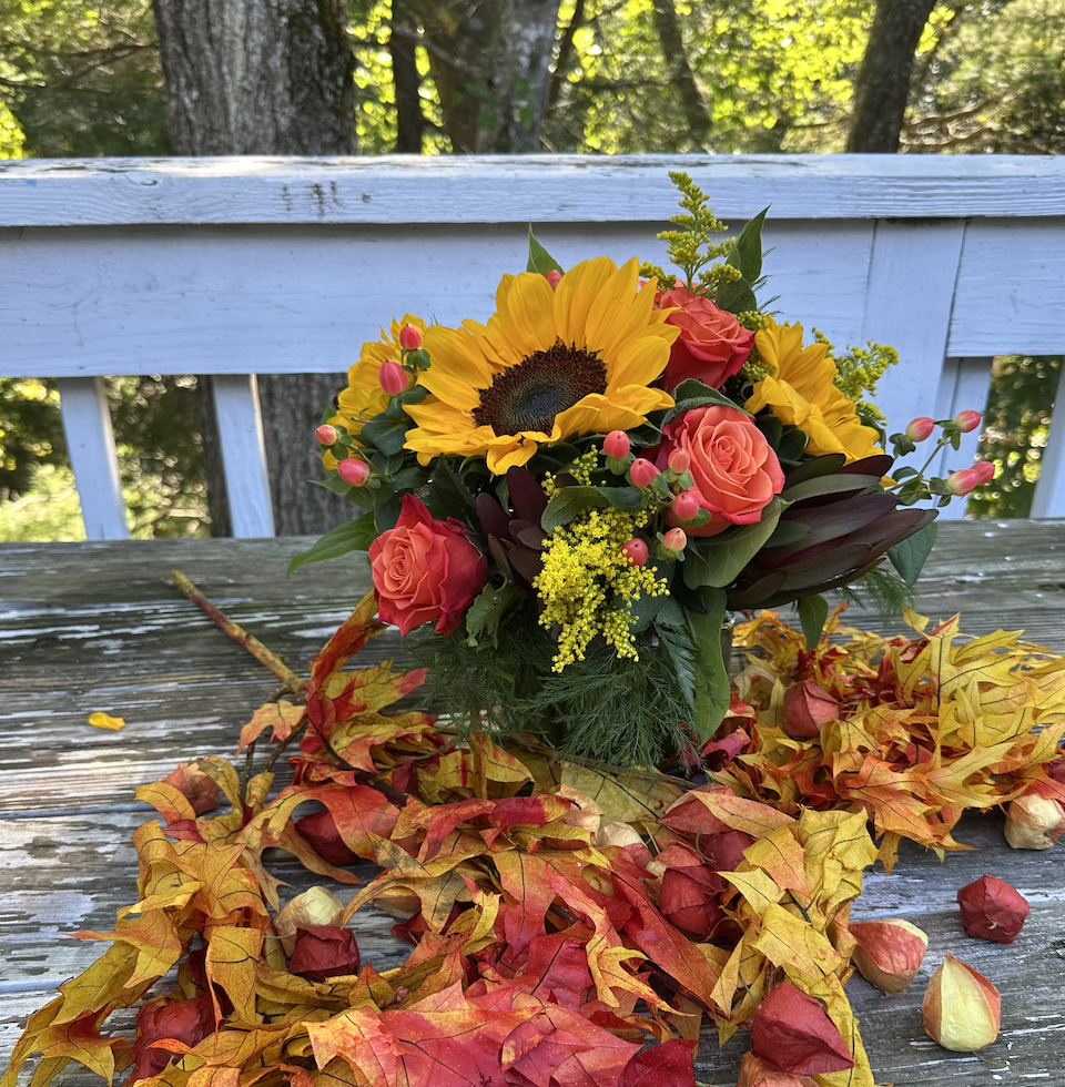 Hello Sunshine — Black Eyed Susan's Flowers & Plants